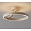 Licht &  Wonen/ Artdelight Plafondamp Oregon