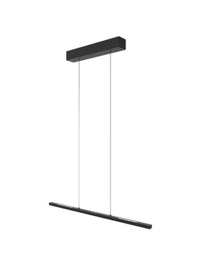 Steinhauer Hanglamp Bande  Cable lift 80 cm