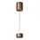 Lucide Hanglamp Coryfee 1 lichts