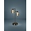 Eglo Ferro table lamp