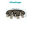 Eglo Ferro Ceiling Lamp