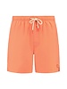 SHIWI SHIWI zwemshort