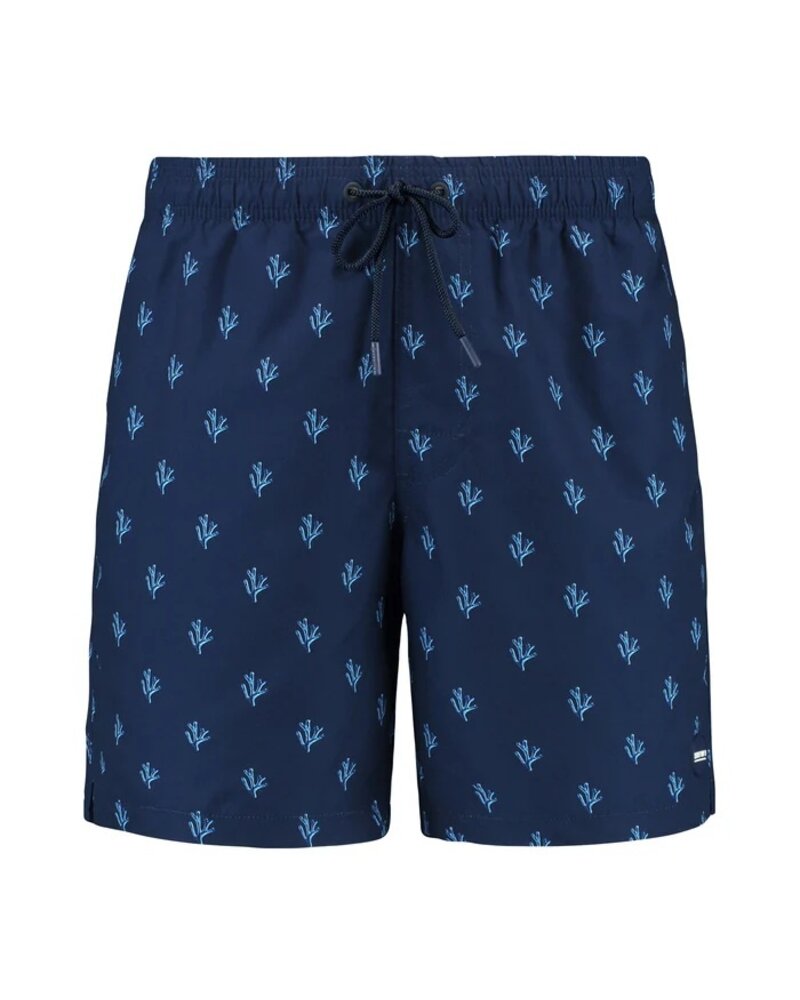 SHIWI SHIWI zwemshort
