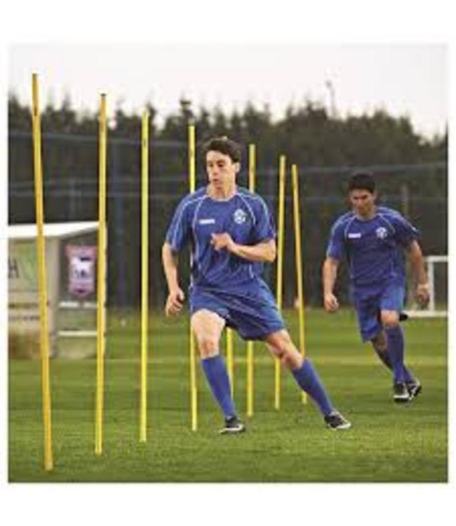 RAM Rugby 2-delige Training Palen, met Flexi-basis