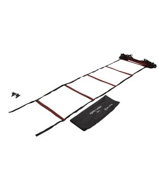 RAM Cricket Loop ladder 4 meter - in Tas