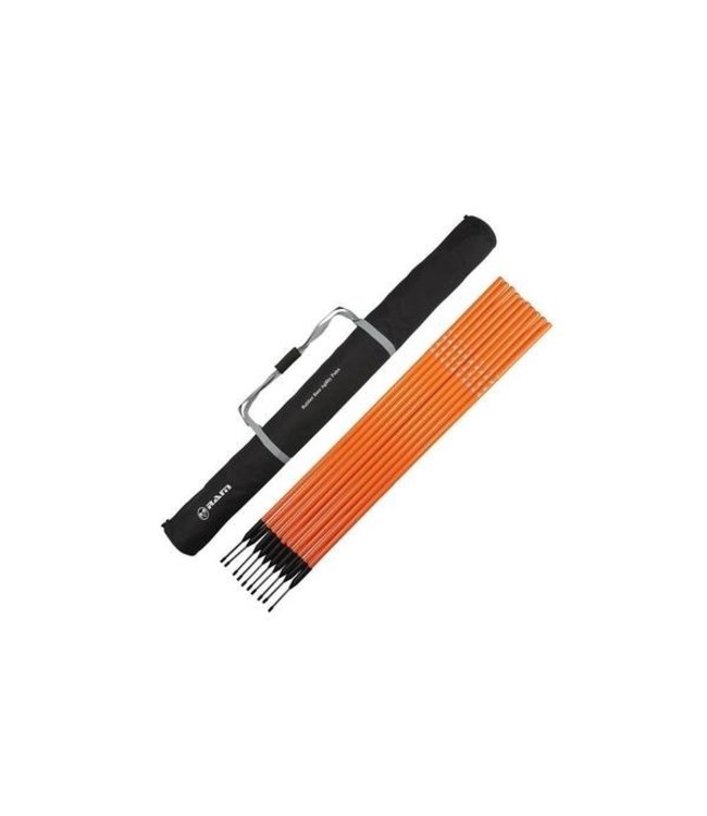 RAM Cricket Training/ Slalompalen  - 10 stuks met rubberen flexibele voet in draagtas