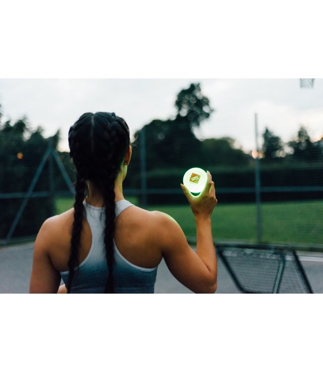 Crazy Catch Scotopia 2.0