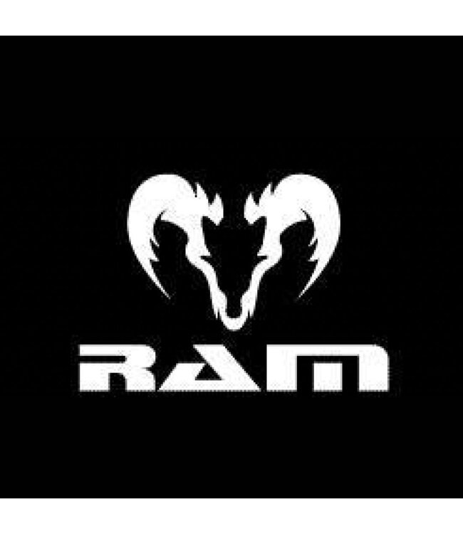 RAM Rugby Pro atmungsaktive Ballsack