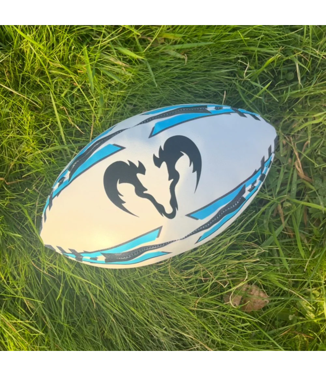 RAM Rugby Micro Softee Rugbybal (maat 2.5)