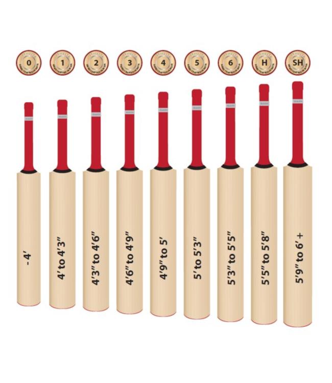 RAM Cricket RAM Cricket : Jeu de cricket en bois, complet dans un sac soigné