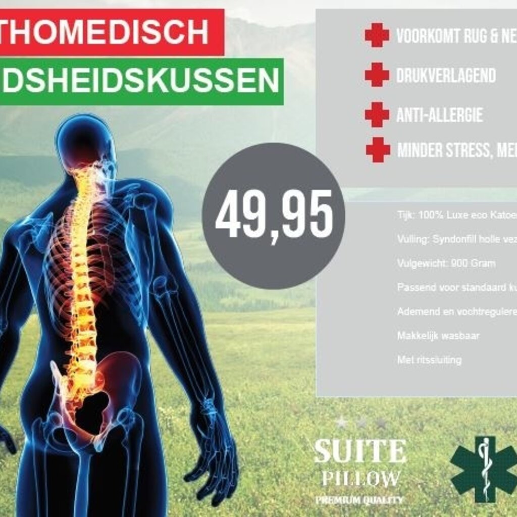 Beau Maison Stevige Boxkussen - Anti Allergisch - Navulbaar met ritssluiting