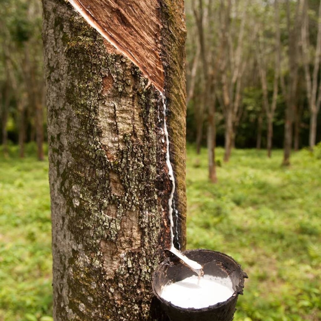 Beau Maison Traagschuim kussen Primo met bies