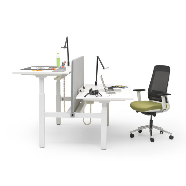 MY Workplace InMotion duo wit