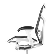 Herman Miller Mirra 2 Graphite - white