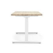 InMotion OAK | wit - Light Oak