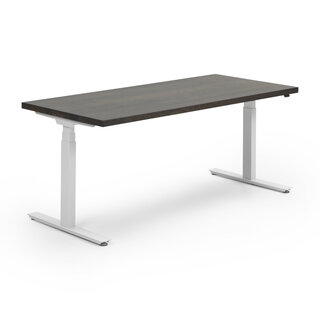 InMotion OAK | wit - Dark Oak