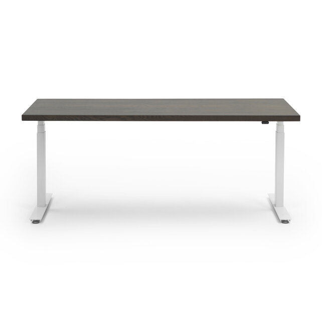 InMotion OAK | wit - Dark Oak