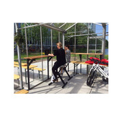 Deskbike Large zwart