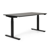 Elektrisch zit-sta bureau Flow Fenix