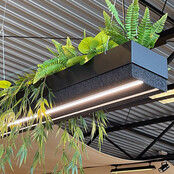 Deasc. Greenlight hanglamp met plant