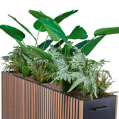 Deasc. GreenWoods plantenbak groot