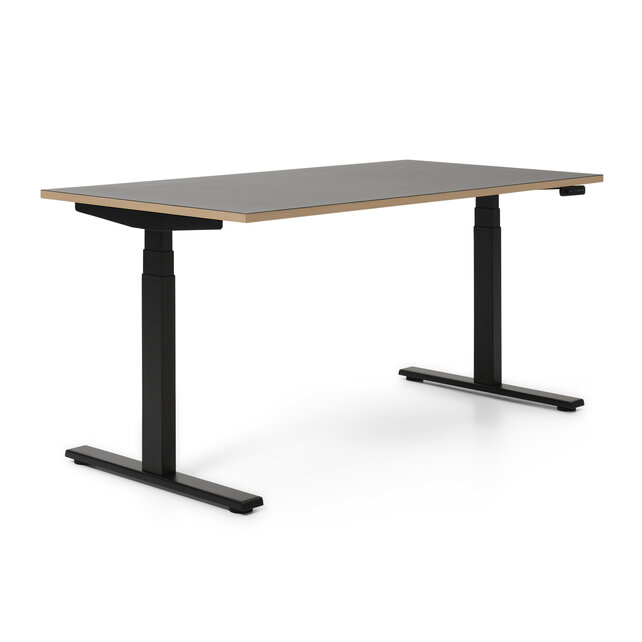 Elektrisch zit-sta bureau Flow Linoleum