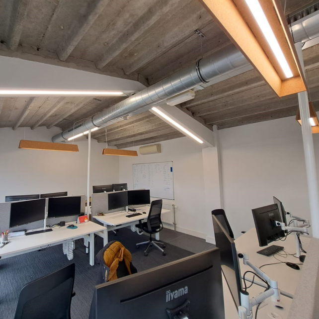 Mute akoestische hanglamp Grey