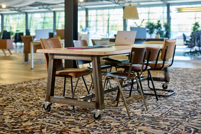 Boomstamtafel op wielen Woodstock