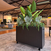 Deasc. Elegant plantenbak klein