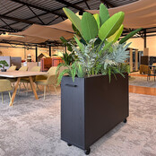 Deasc. Elegant plantenbak klein