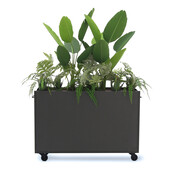 Deasc. Elegant plantenbak klein