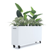 Deasc. Elegant plantenbak groot