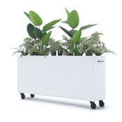 Deasc. Elegant plantenbak groot