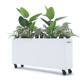 Deasc. Elegant plantenbak groot