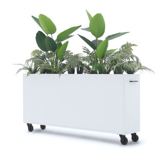 Deasc. Elegant plantenbak groot