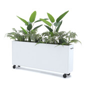 Deasc. Elegant plantenbak groot