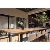 Vergadertafel Botaniq high