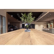 Vergadertafel Botaniq high