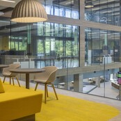 Tapijttegel Desso Bloom & Vivid