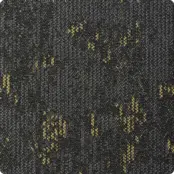 Tapijttegel Deasc. Spectrum