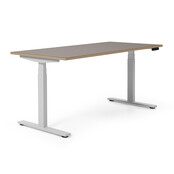 Elektrisch zit-sta bureau Flow Linoleum