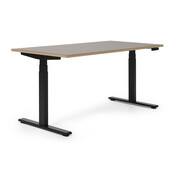 Elektrisch zit-sta bureau Flow Linoleum