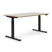 Elektrisch zit-sta bureau Flow Linoleum