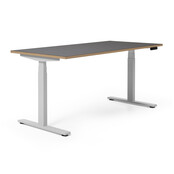 Elektrisch zit-sta bureau Flow Linoleum