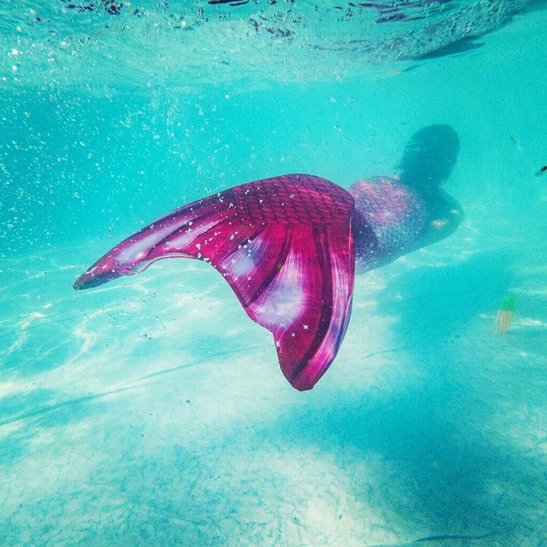 Buy Pink Mermaid Tail at NoordZeemeermin for mermaid swimming NorthSeaMermaid