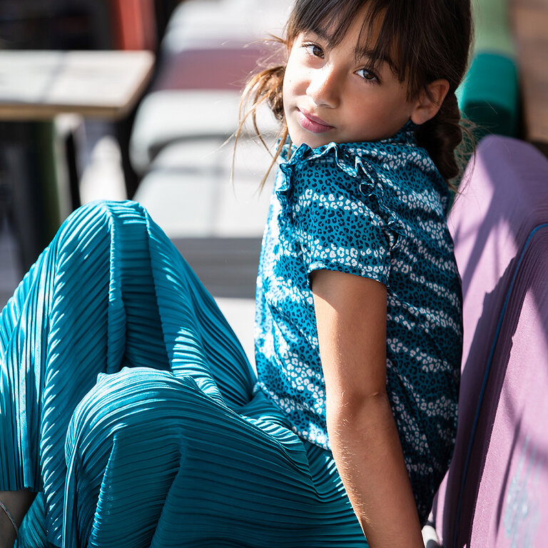Blouse (good zebra)