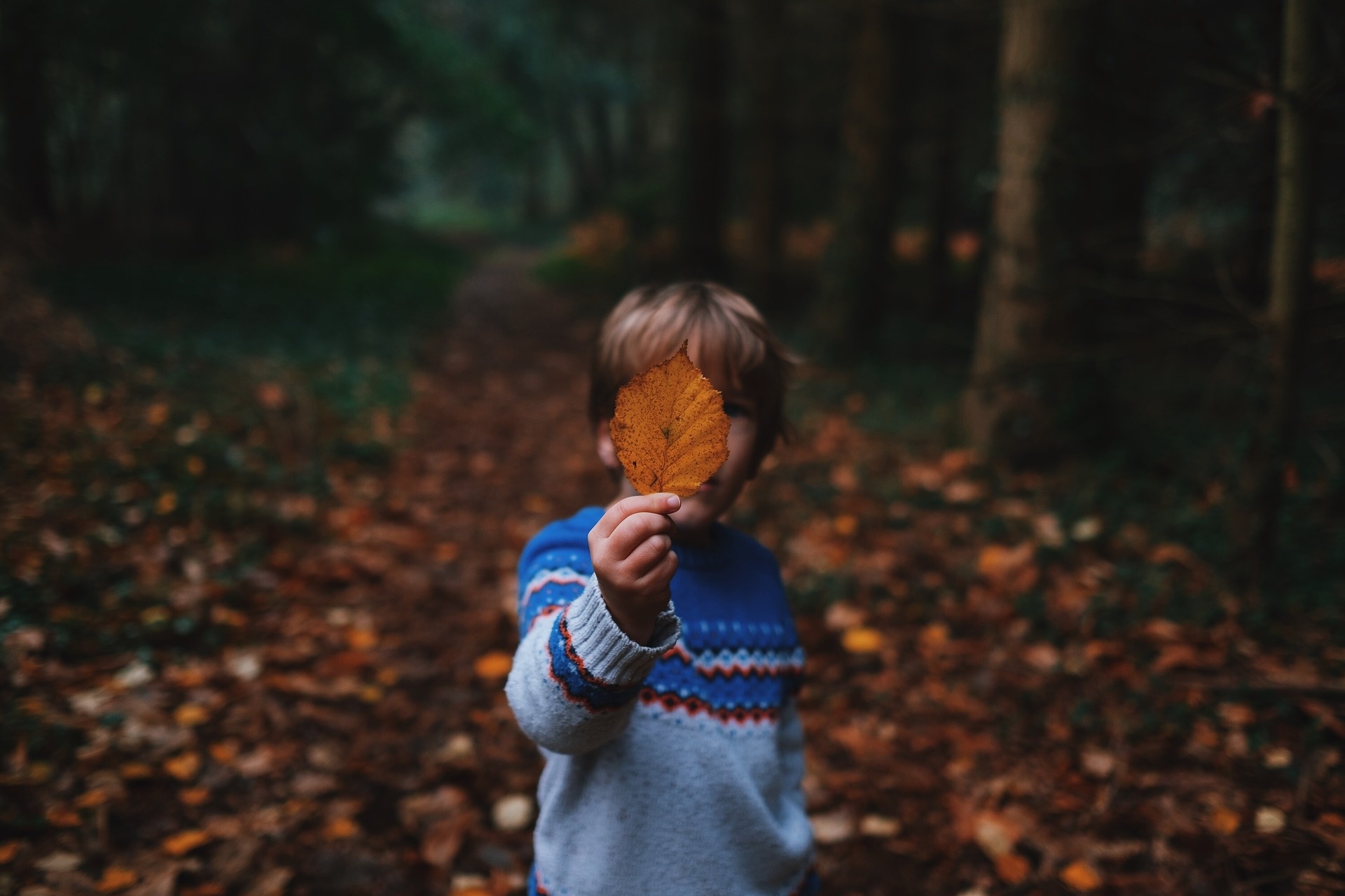 De allerleukste herfstactiviteiten