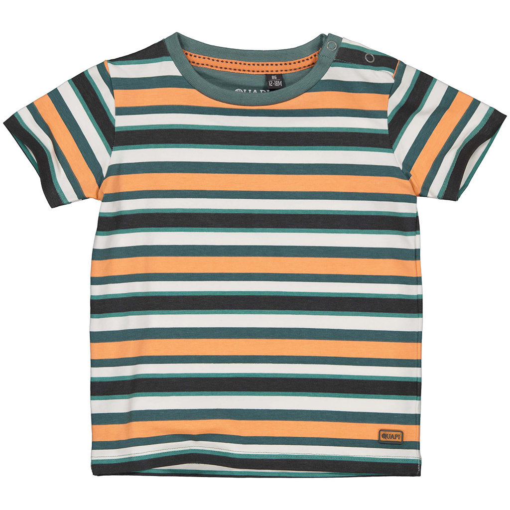 T-shirtje Vadim (aop multi colour stripe)
