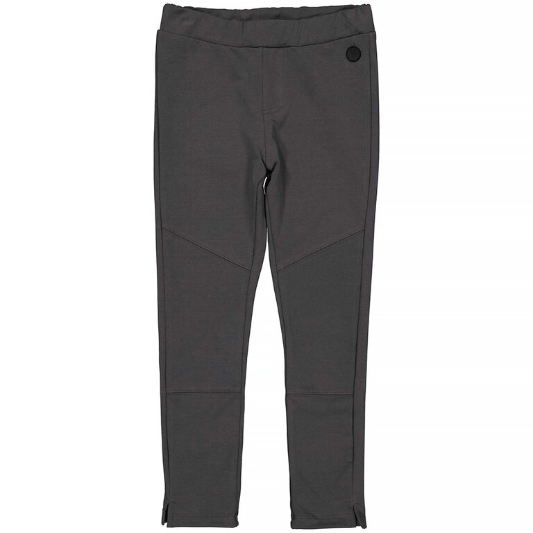 Broek/tregging Dian (grey)