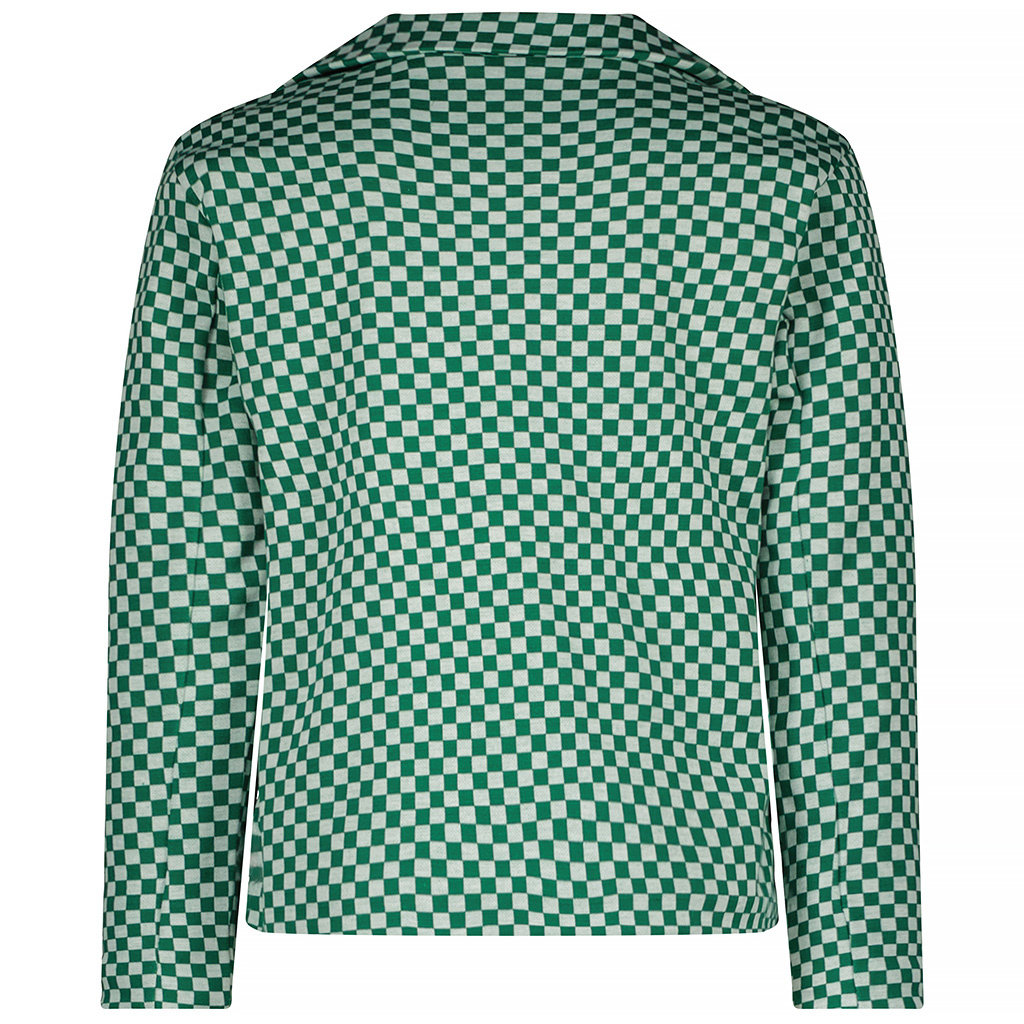 Blazer check jacquard (spring green)